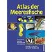 Atlas der Meeresfische: Die Fische an den K�sten der Weltmeere