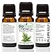 Biofinest Citronella Essential Oil - 100% Pure Undiluted - Premium Organic - Therapeutic Grade - Best For Aromatherapy - Ease Headache - Reduce Pain - FREE Essential Oil Guide (10ml)