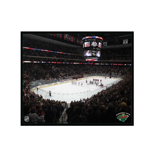 NHL Nashville Predators Arena 16x20 Canvas Art