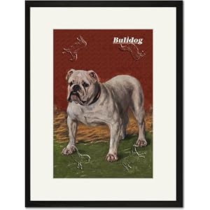 Black Framed/Matted Print 17x23, White Bulldog