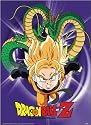 Dragon Ball Z: Super Saiyan Gohan Anime Wall Scroll