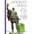 Ancient Rome on 5 Denarii a Day