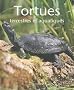 Tortues