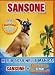 Sansone / Garfield - Il Film / Garfield 2 (3 Dvd)