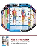 Complete Posterfit Set of 13 A3 Laminated Wall Charts - with on-line video training support (smart phone only)