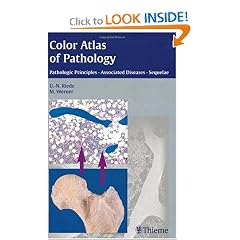 Color Atlas of Pathology: Pathologic Principles, Associated Diseases, Sequelae by Ursus-Nikolaus Riede and Martin Werner