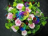 ���C���{�[���[�Y�ƃo���̃t�@�b�V���i�u���E�u�[�P �y�s���N�z