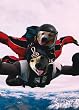 BIRTHDAY W/ DOGS SKYDIVING