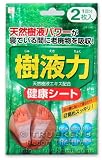 Kokubo JYUEKIRYOKU Japanese Detox Foot Pads - 2 treatments