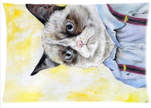 1AlexStore Pillowcase Standard 20x30 Inch two Sides Zippered Pillow Cover Grumpy Cat I am a Gentleman