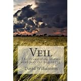 Veil: The devastating storms were just the beginning.