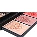Natural Glamor 20 Color Professional Eyeshadow Palette/Make Up Kit with Bronzer, Blush Brush and Compact Mirror