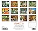 View from the Porch 2015 Wall Calendar