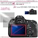 プロガードＡＦ for Canon EOS 60D / EOS Kiss X5 防指紋性保護光沢フィルム / DCDPF-PGEOS60D