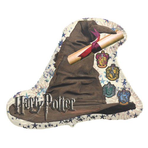 Harry Potter Sorting Hat 21