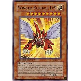 YUGIOH single card: Winged Kuriboh LV9 YG03-EN001 [Toy]