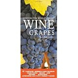 Vinifera, The World's great Wine Grapes boxed wine grape reference deck - revised edition