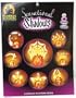 Pumpkin Masters Sensational Shadows Pattern Book