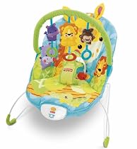 Fisher-Price Precious Planets Happy Giraffe Bouncer
