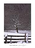 IMAGE OF Winter Flight FINEST BRAND CANVAS Print With Added Heavy BRUSHSTROKES Bob Timberlake 18x24