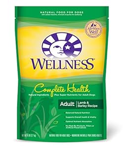 Wellness Complete Health Natural Dry Dog Food, Lamb, Barley & Salmon Meal Recipe, 6-Pound Bag Wellness Complete Health Natural Dry Dog Food, Lamb, Barley & Salmon Meal Recipe, 6-Pound Bag