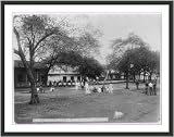 Historic Print (L): [Guard Mount of Cal. Heavy Artillery, Cavite, Philippines]