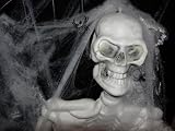 GIANT HALLOWEEN SKELETON 3-D PROP ** REALISTIC ** ~ 5 FEET TALL