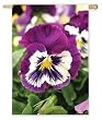 Pansies Garden Flag