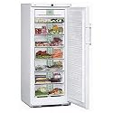 Liebherr Gefrierschrank GNP 2976-20 EEK: A, 261 l Nutzinhalt, Klimaklasse: SN-T