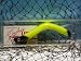 Sneaky Snake - Custom Muskie Bait - Yellow & Black