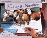 Reeves 12-Inch by 16-Inch Paint by Number Artists Collection, Heading Upstream