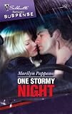 One Stormy Night (Silhouette Intimate Moments)
