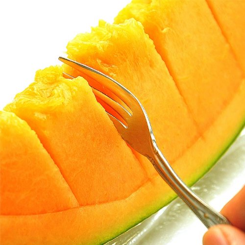 果物 ギフト メロン 北海道 赤肉メロン 大玉1玉