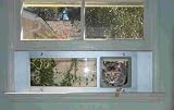 28 to 33 Window Sash Pet Door w 6x 6 4-way Locking Flap