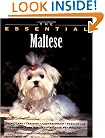 The Essential Maltese (Howell Book House's Essential)