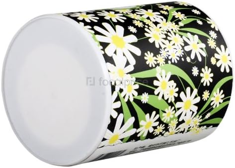 Virgo Potted Plant Daisy