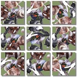 B Dazzle Bunnies Scramble Squares 9 Piece Puzzle