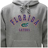 University of Florida Campus Yard Printed Fleece Hoodie (Large)