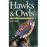 HawksandOwlsoftheGreatLakesRegionandEasternNorthAmerica