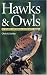Hawks and Owls of the Great Lakes Region and Eastern North America