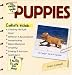 The Simple Guide to Puppies