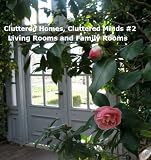 Cluttered Homes, Cluttered Minds 2 - Living Rooms and Family Rooms