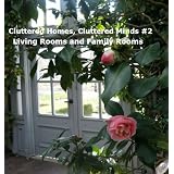 Cluttered Homes, Cluttered Minds 2 - Living Rooms and Family Rooms