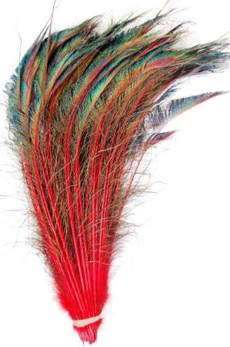 50 Pcs Dyed Peacock Swords 10"-15" RED Feathers