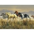 Band Of Thunder by J. Hautman