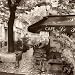 Cafe, Aix-en-Provence Places Art Poster Print by Alan Blaustein, 24x24