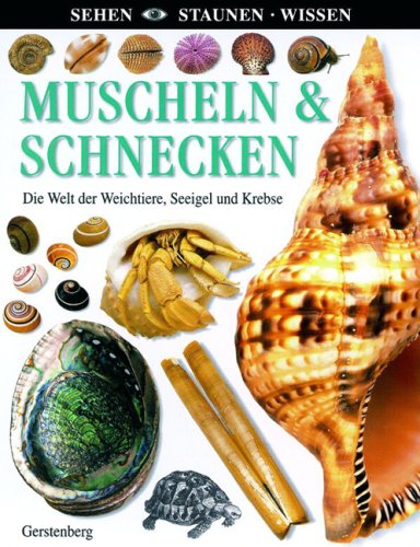 Einsiedel