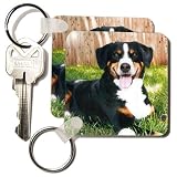 Appenzeller Mountain Dog - Set Of 6 Key Chains
