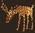 Nodding Christmas Reindeer Light