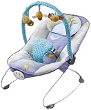 Carters Cuddle N Comfort Musical Bouncer